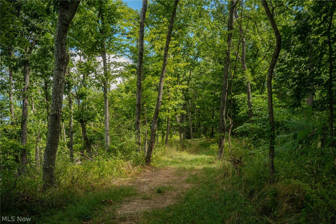 Harrietsville Road, Lower Salem, Ohio image 20