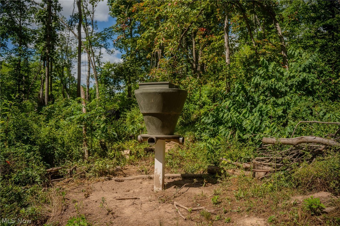 Harrietsville Road, Lower Salem, Ohio image 14