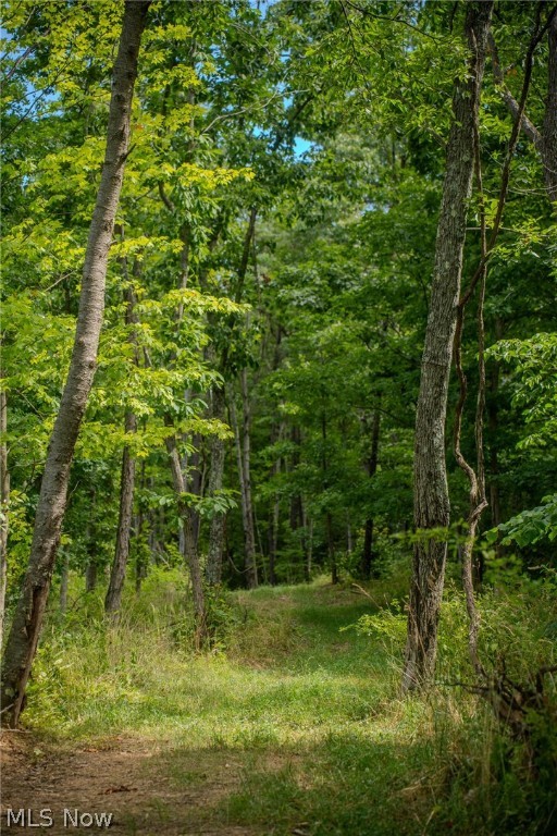 Harrietsville Road, Lower Salem, Ohio image 21