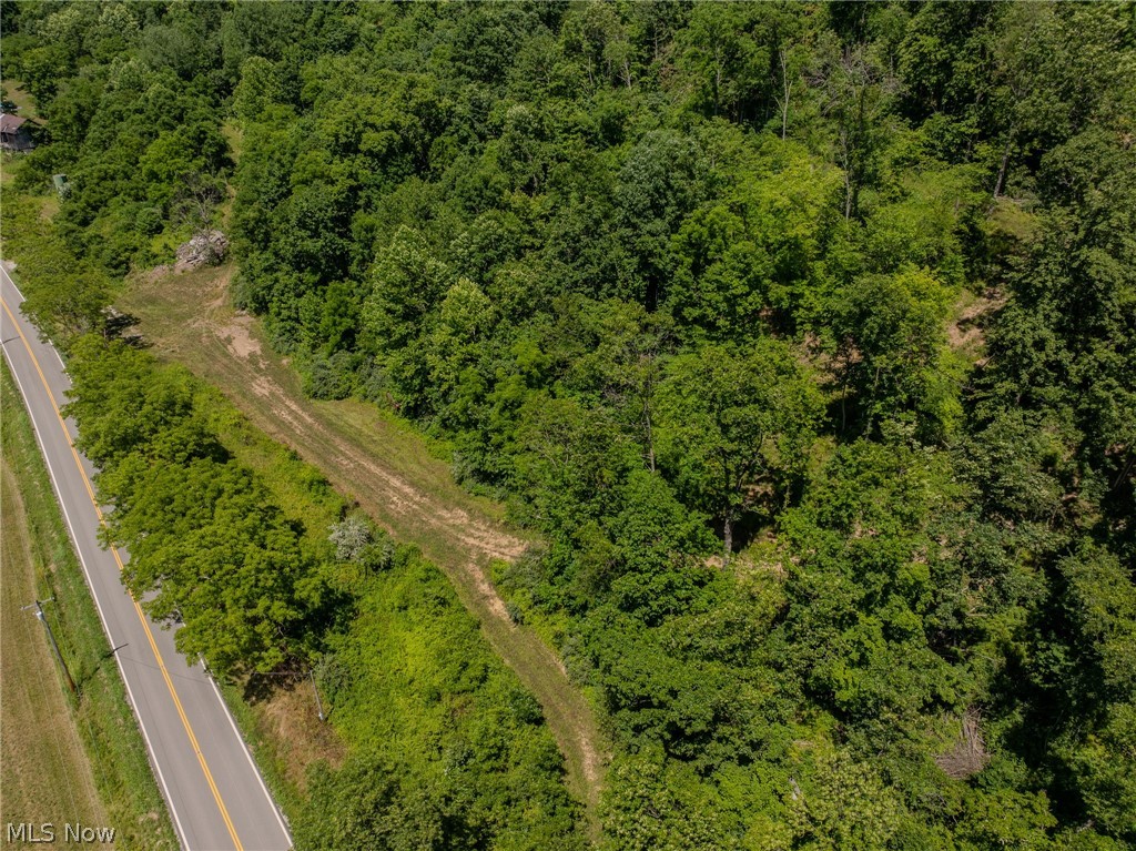 Harrietsville Road, Lower Salem, Ohio image 13