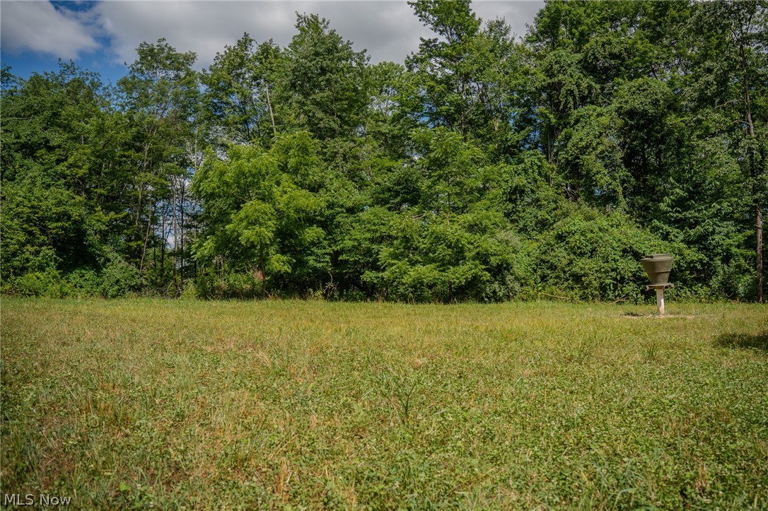 Harrietsville Road, Lower Salem, Ohio image 25