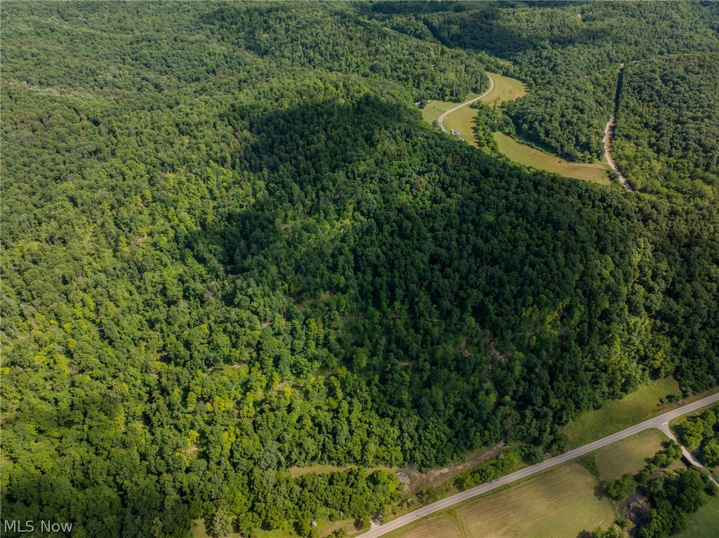 Harrietsville Road, Lower Salem, Ohio image 2