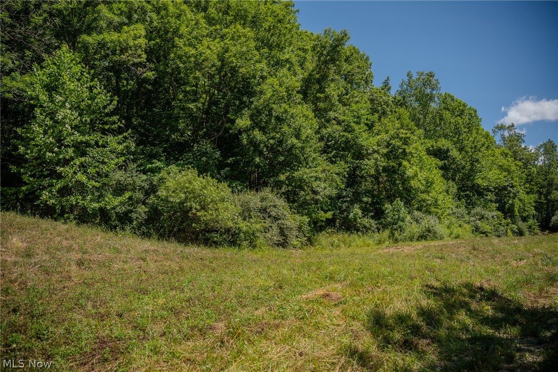 Harrietsville Road, Lower Salem, Ohio image 29