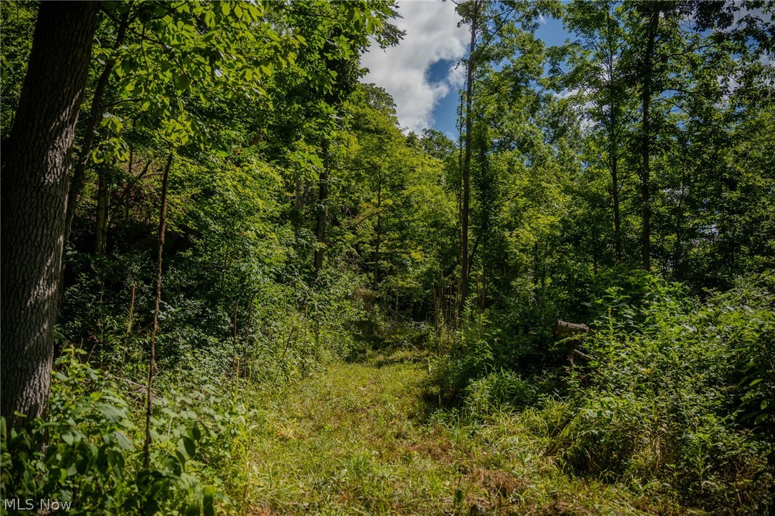 Harrietsville Road, Lower Salem, Ohio image 18