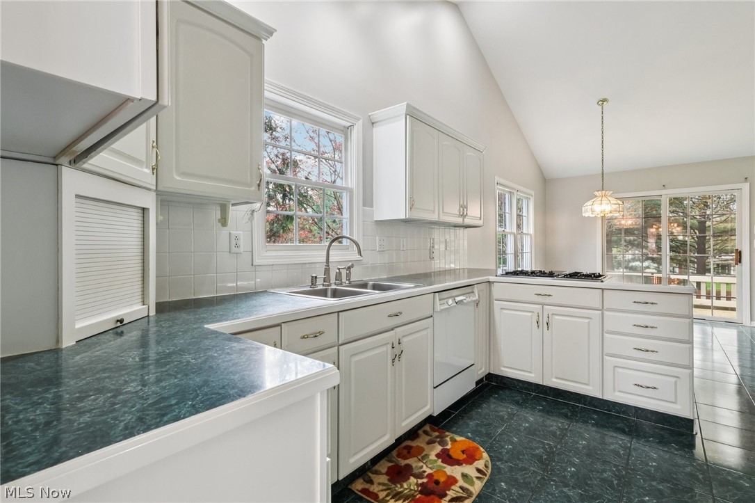 Pheasant Meadows Condo - Residential