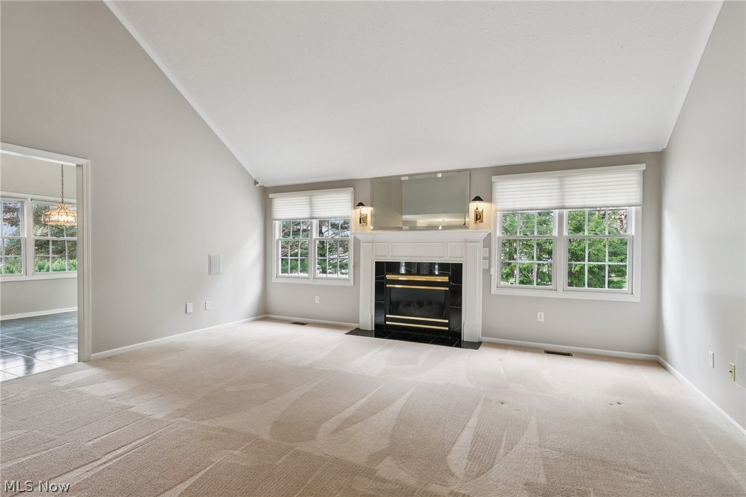 Pheasant Meadows Condo - Residential