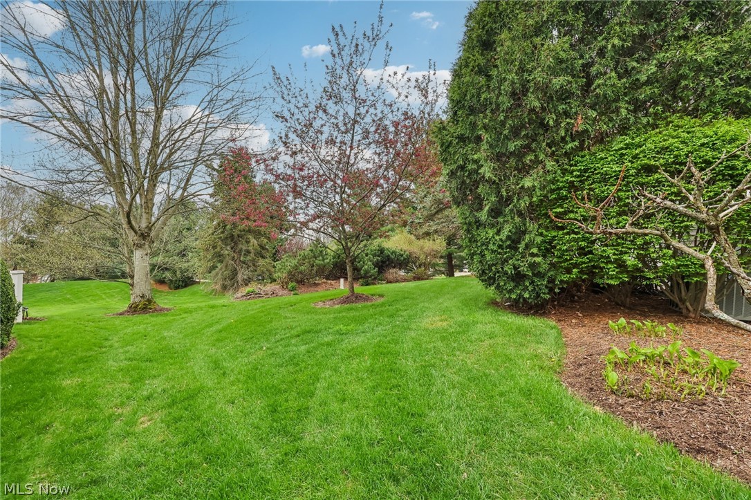 Pheasant Meadows Condo - Residential