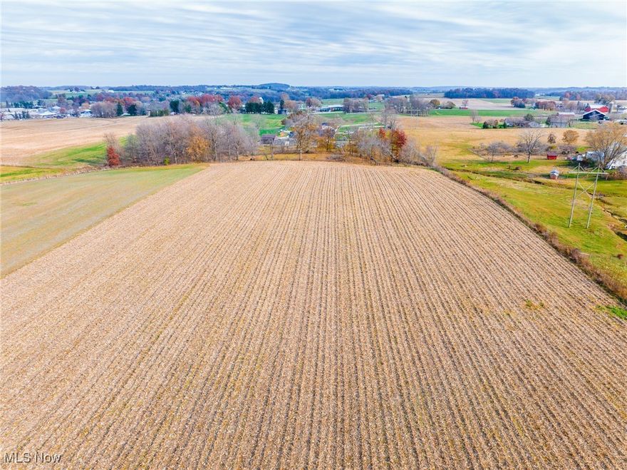 Location, Location, Location! Just outside of Kidron, this rare 4 - acre property with the wooded backdrop is a prime opportunity to build your dream home in one of the area’s most desirable spots. With land that lays beautifully for development, this is a unique find on a quiet road in a fantastic location. Whether you're looking to build, invest, or expand, don’t miss your chance to own real estate in this highly sought-after area!