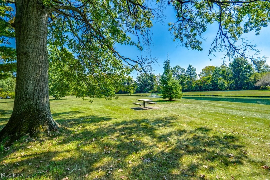 Raintree Condo - Residential