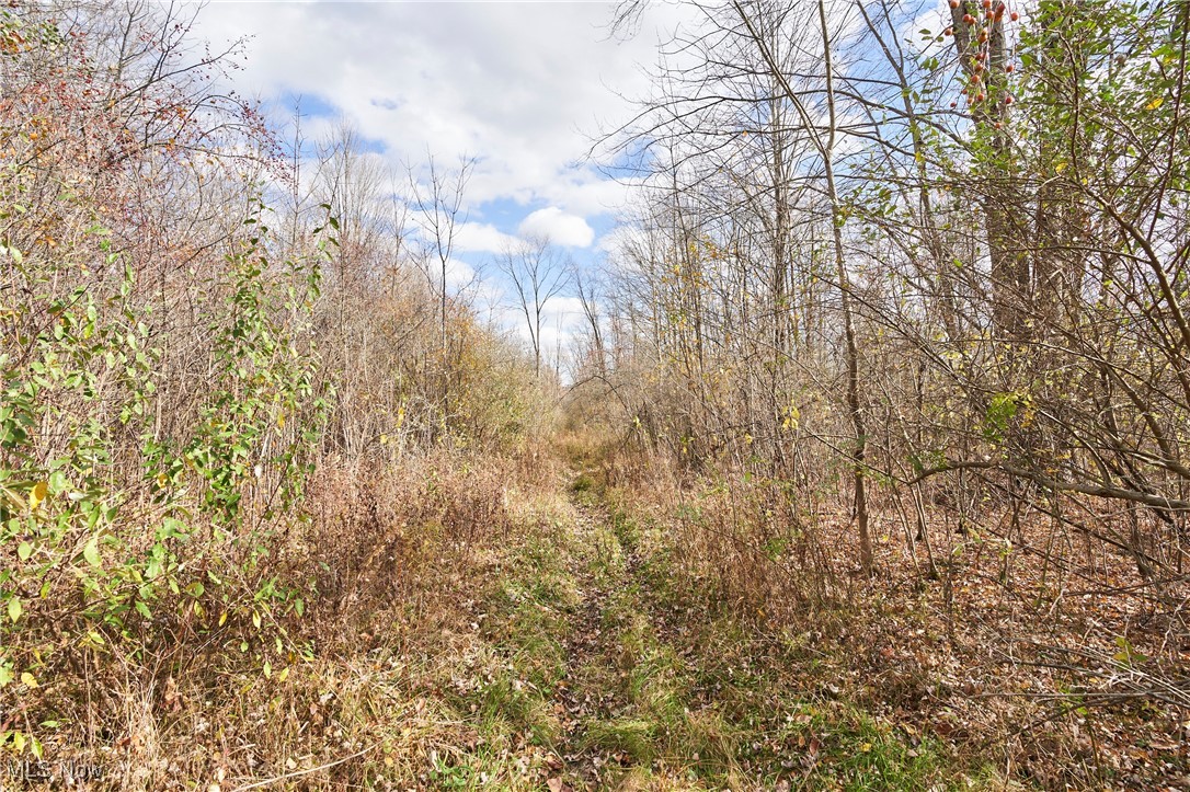 V/L Approx 14 Acres Cobb Drive #LOWER, Streetsboro, Ohio image 9