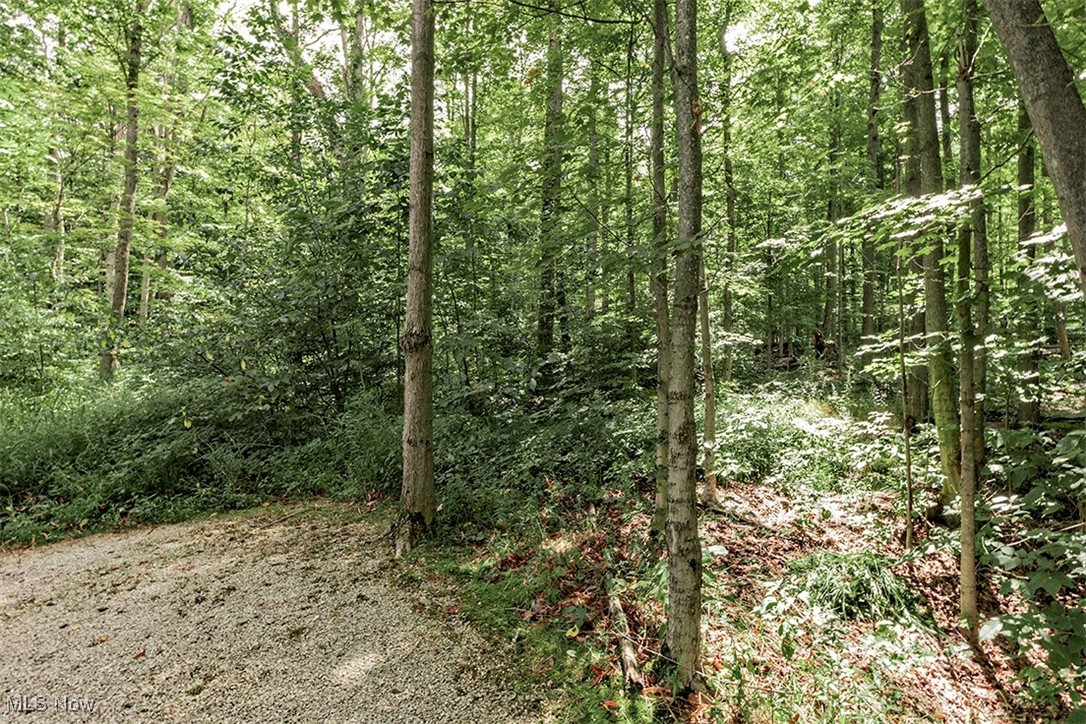 Snyder Road Estate - Residential