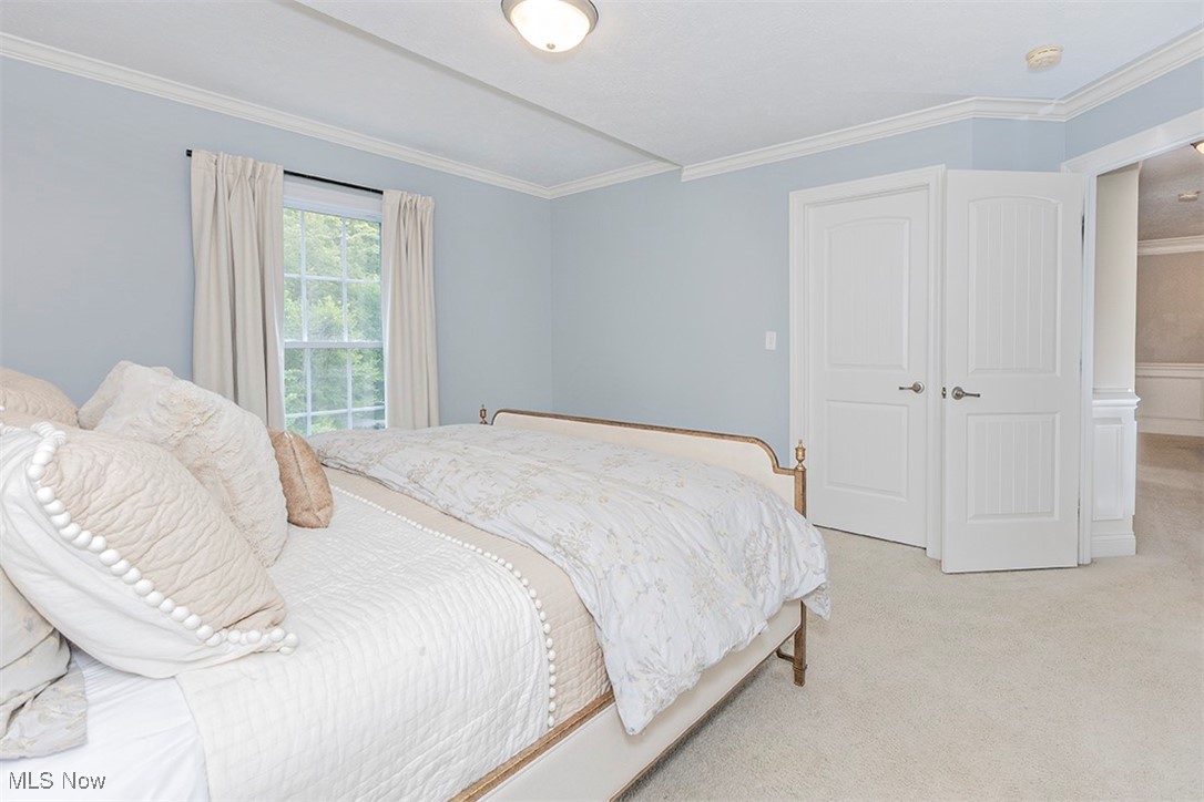 Snyder Road Estate - Residential