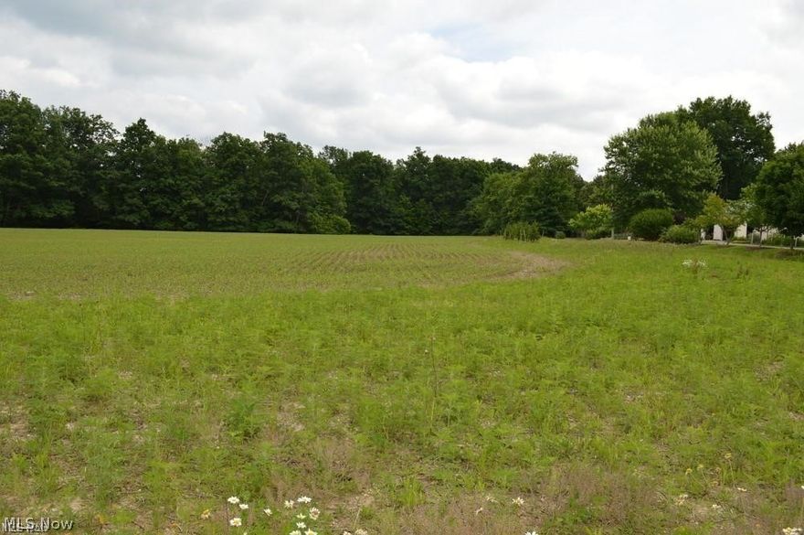 Rare find in Medina Twp! Check out this beautiful vacant lot on Foote Rd featuring over 1 acre of already developed, buildable land.
Property backs up to the Rocky River and Lake Medina. Close proximity to downtown Medina and 71. Water, Sewer, Gas, and
Electric available on the street. Homes exclusively built by a local reputable builder. 5 of the 7 lots have already sold, get this one before it is
too late and start building your custom dream home today!