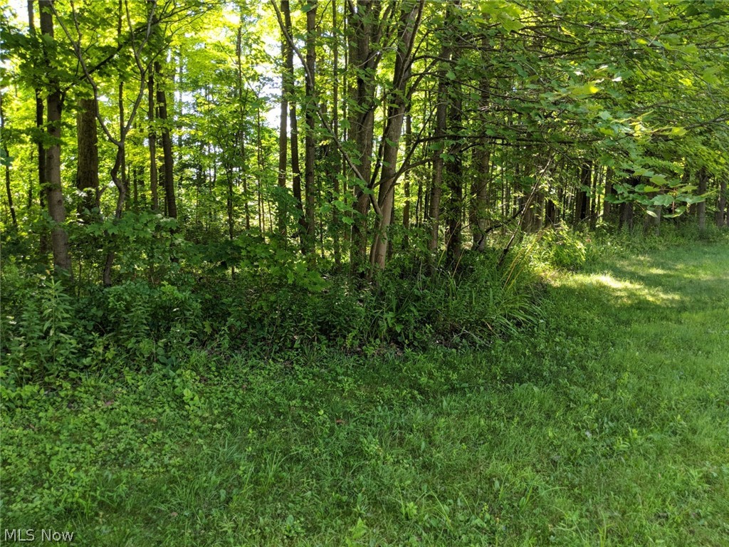 Cloverdale Estate - Residential