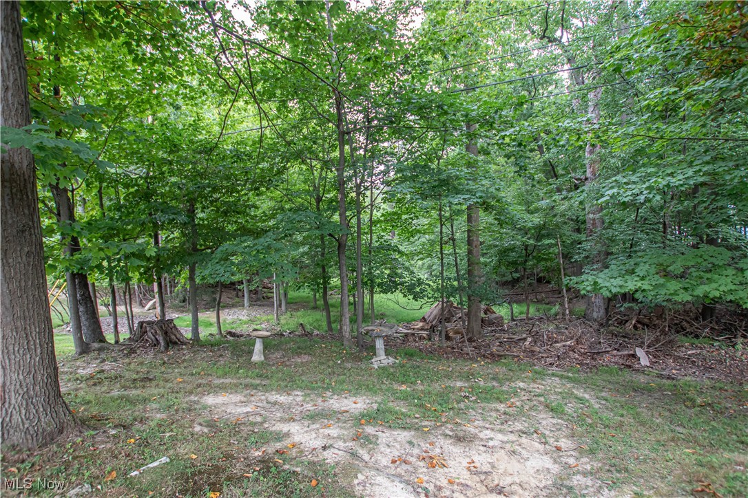 Baldwin Crk 01 - Residential