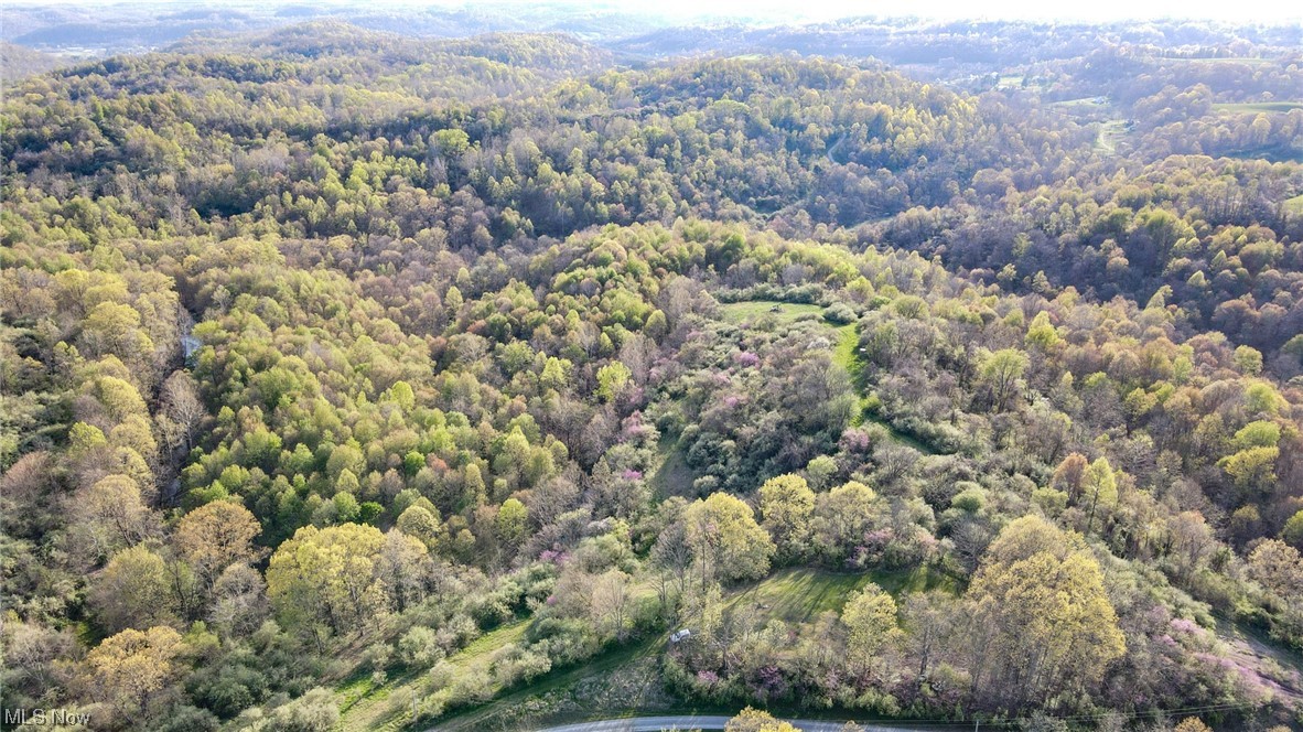 101.25 vacant acres. Mostly wooded acreage. Some mature timber. Very rugged parcel. Walk-in access only. Should be great hunting for deer, turkey, and small game. Wild turkeys were gobbling the day I walked this property. Several strip ponds and high walls. Some trails once into the property. Very private and located on a dead-end road. Cabin or camping sites. No mineral rights. Annual taxes are $1557.
