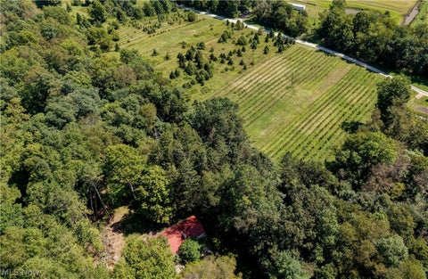 Vacant Land For Sale - 33111 Township Road 490<br/> Killbuck, OH 44637