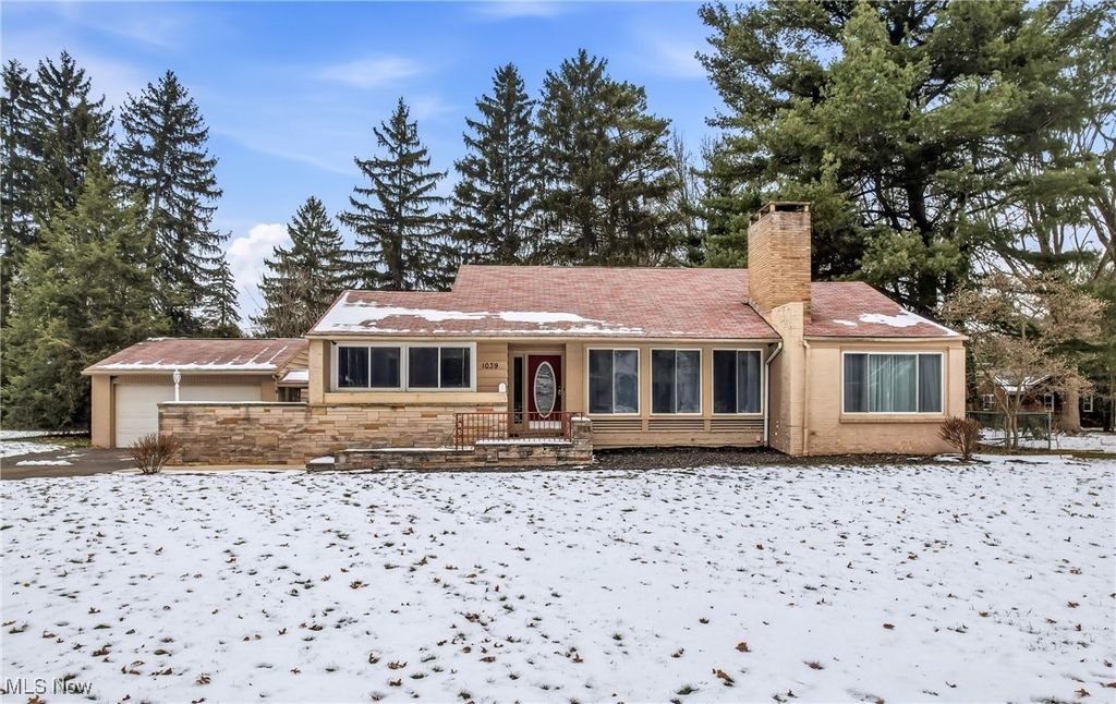 Photo of 1039 Glamorgan Street, Alliance, OH 44601 (MLS # 5176767)