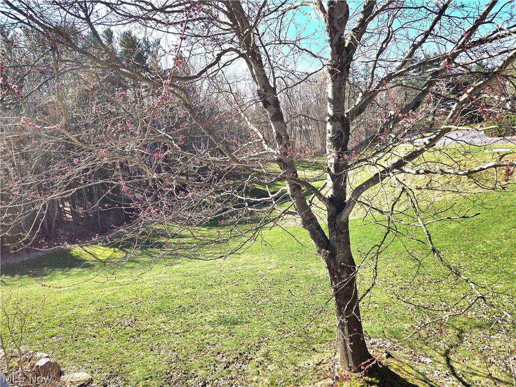 Ridges/Camden Park - Residential