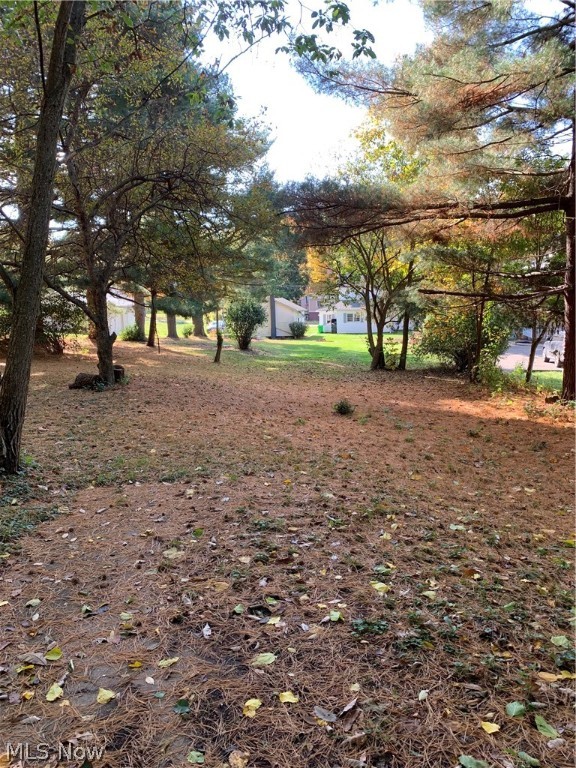 Village/Pleasant Vly - Residential