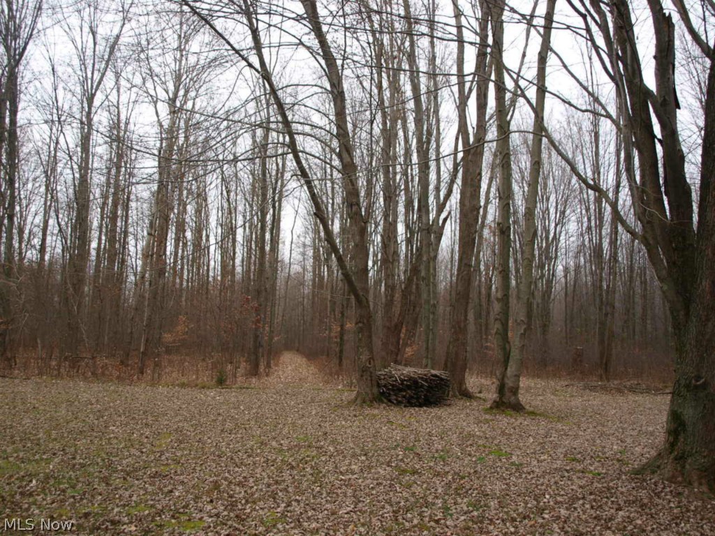 Champion Township Sec 31 Origi - Residential