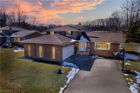 6790 Donna Rae Dr, Seven Hills, OH 44131 - #: 5019039