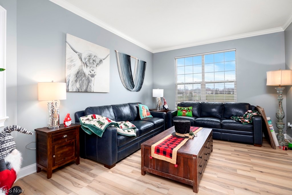 Ravines Edge - Residential