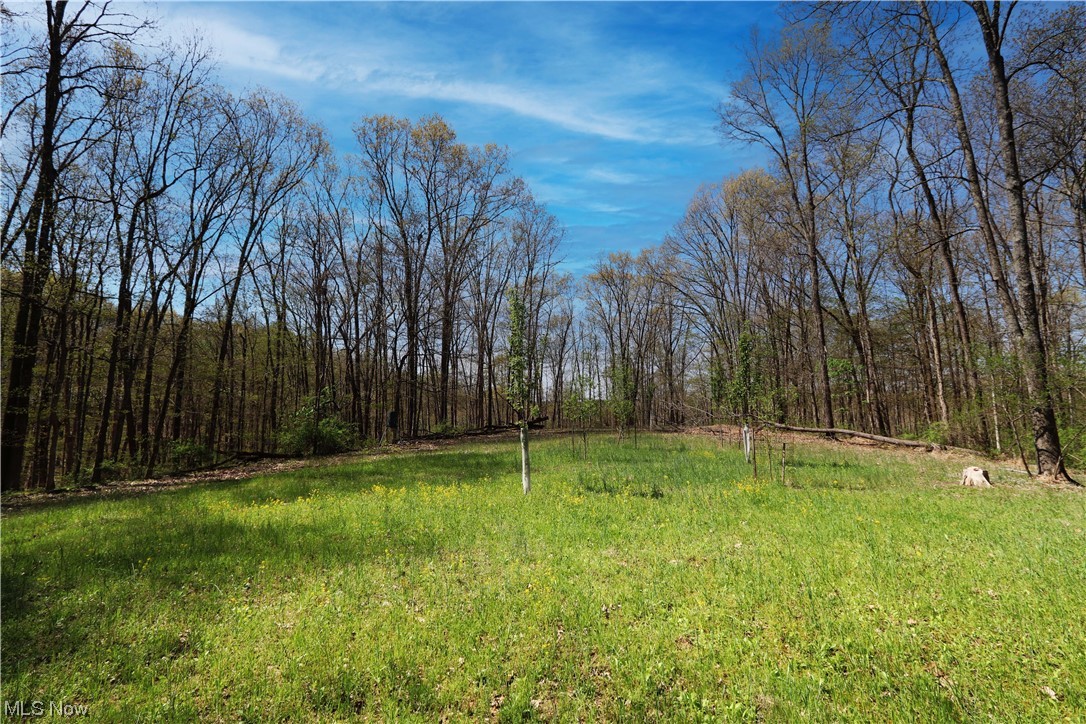 An absolutely beautiful property located a few miles north of McConnelsville that has opportunity written all over it. A great trail system is already in place leading to dozens of treestands, multiple blinds, creeks, food plot areas, ridgetops and the list goes on and on for this one. A nice stand of mature pines is located on this one as well. The timber on the property is currently being logged by a reputable timber company that is doing a conservative harvest and is approximately 60% completed. The crew will be moving in later this year to complete the harvest unless otherwise agreed upon. A nice crop of young timber has been left standing for future harvest including, white and red oak, cherry, maple, walnut and poplar. Up front you will find access on 2 different driveways including a road (karis Lane) and also a drive that has frontage on SR 669. There is a barn that has a small cabin built into the inside for shelter. This would be an excellent site for a new cabin or possibly