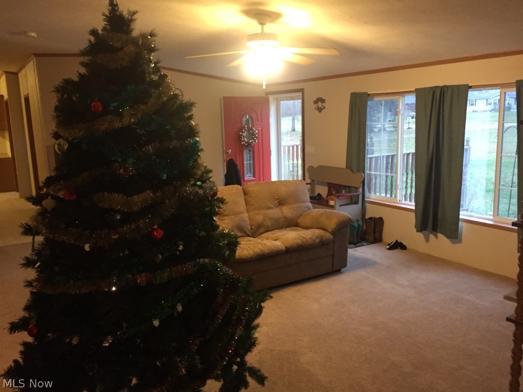 Berlin Township - Residential