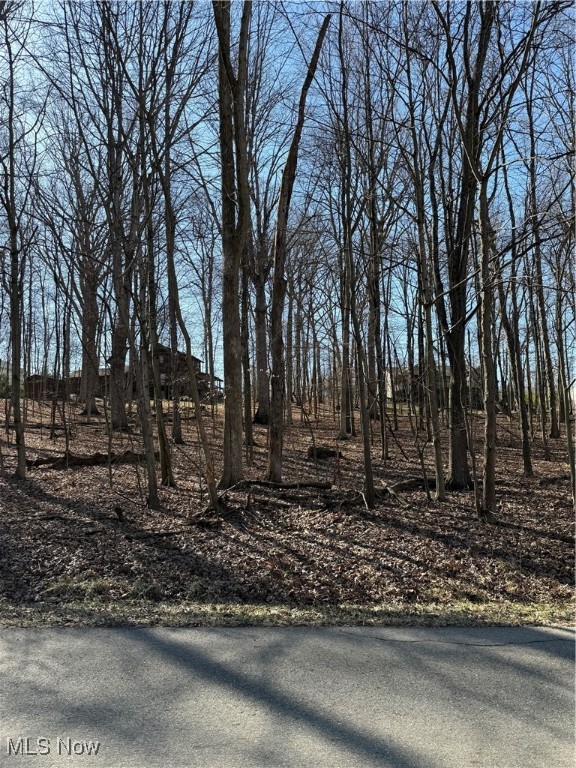 Valleyridge Drive, Howard, Ohio image 1