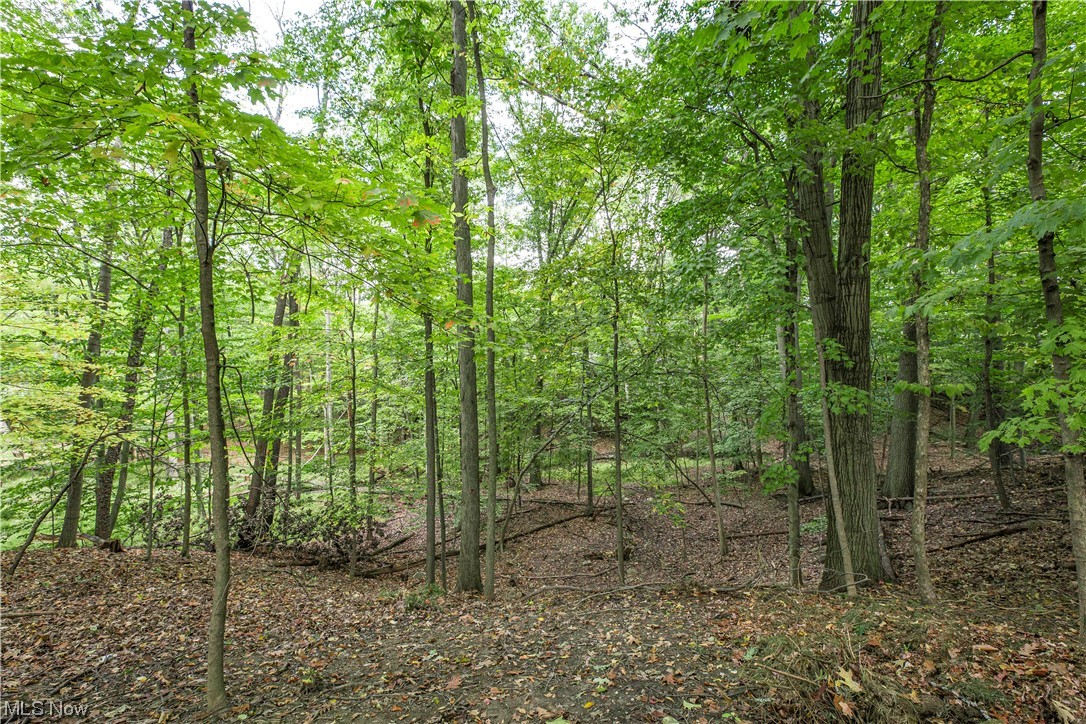 Walton Hills Barclay - Residential