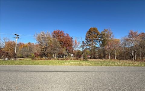 Vacant Land For Sale - Capel Road<br/> Grafton, OH 44044