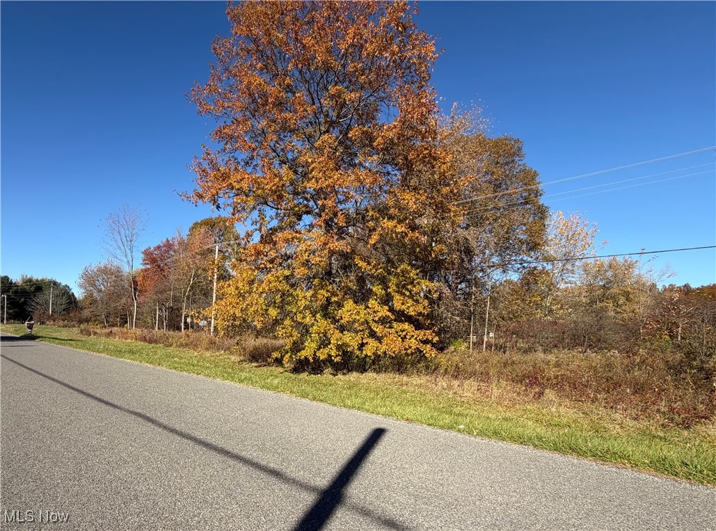 Clarbrooke Acres Allotment - Land