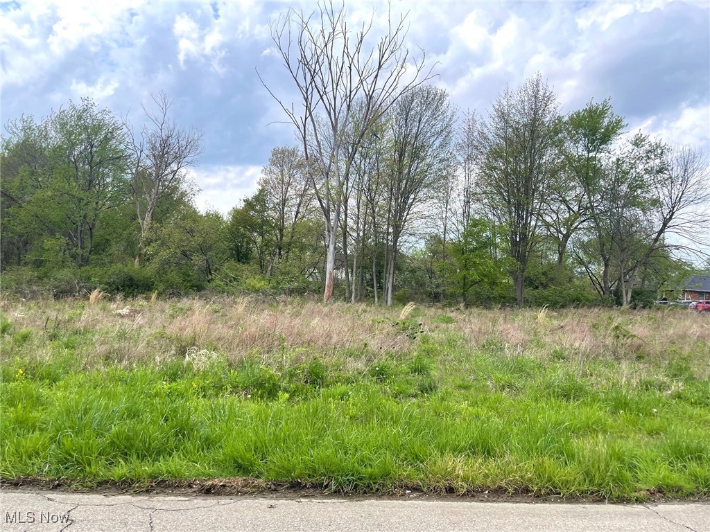 Lot# 2 Candell Street, Massillon, Ohio image 1