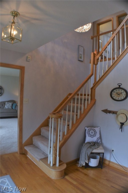 Steeplechase Allotment Sec 02 - Residential