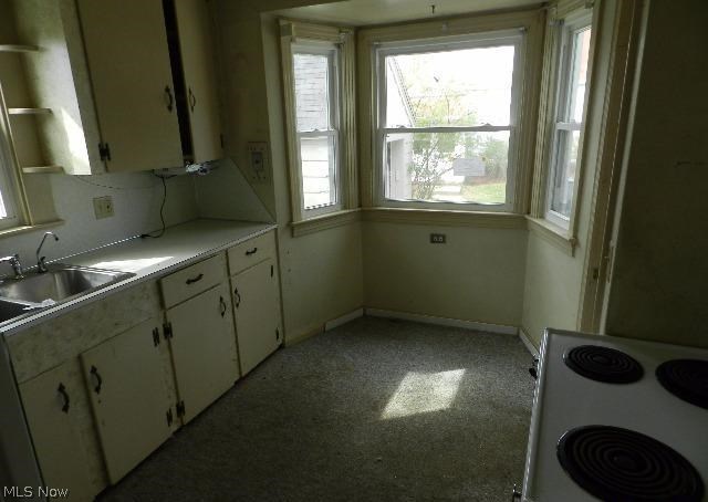 Willowbrook Heights - Residential