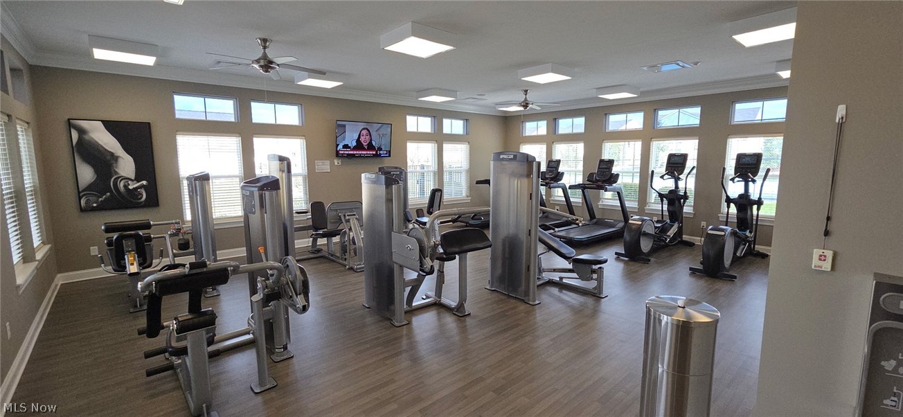 Four Seasons/Chestnut Rdg Sub - Residential