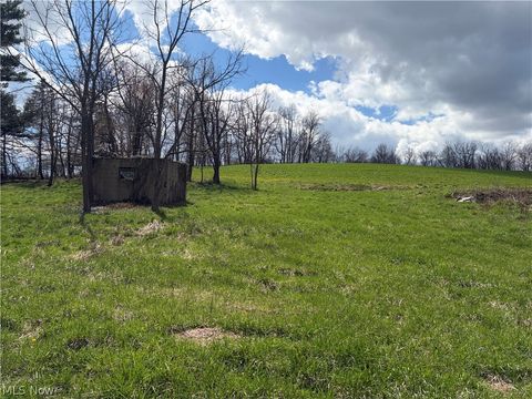 Vacant Land For Sale - Township Road 177<br/> Baltic, OH 43804