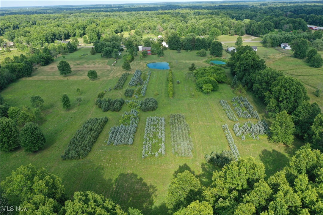 Palmyra - Residential