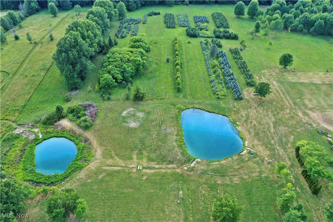 Palmyra - Residential