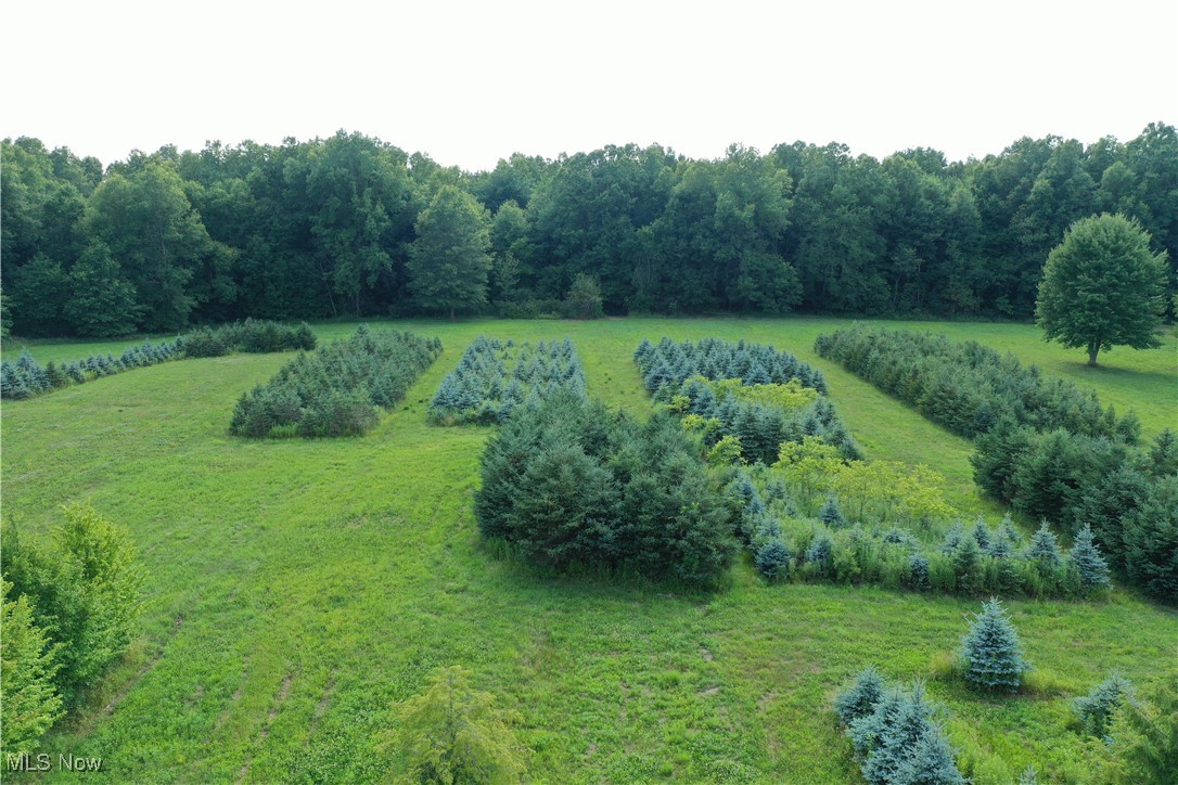 Palmyra - Residential