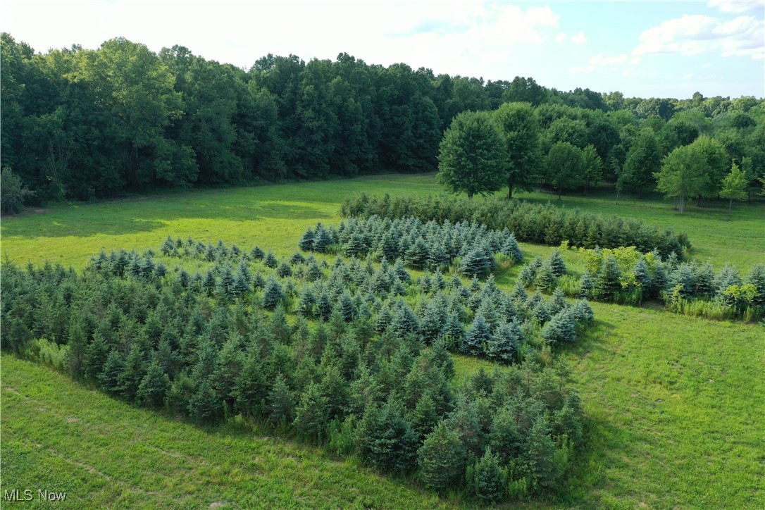 Palmyra - Residential