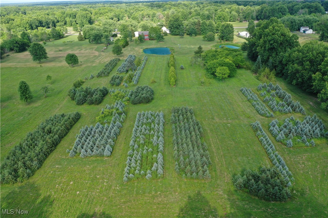 Palmyra - Residential