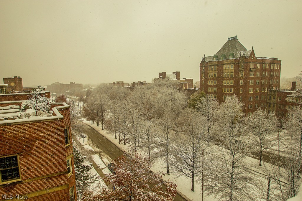 Shaker Courts - Residential