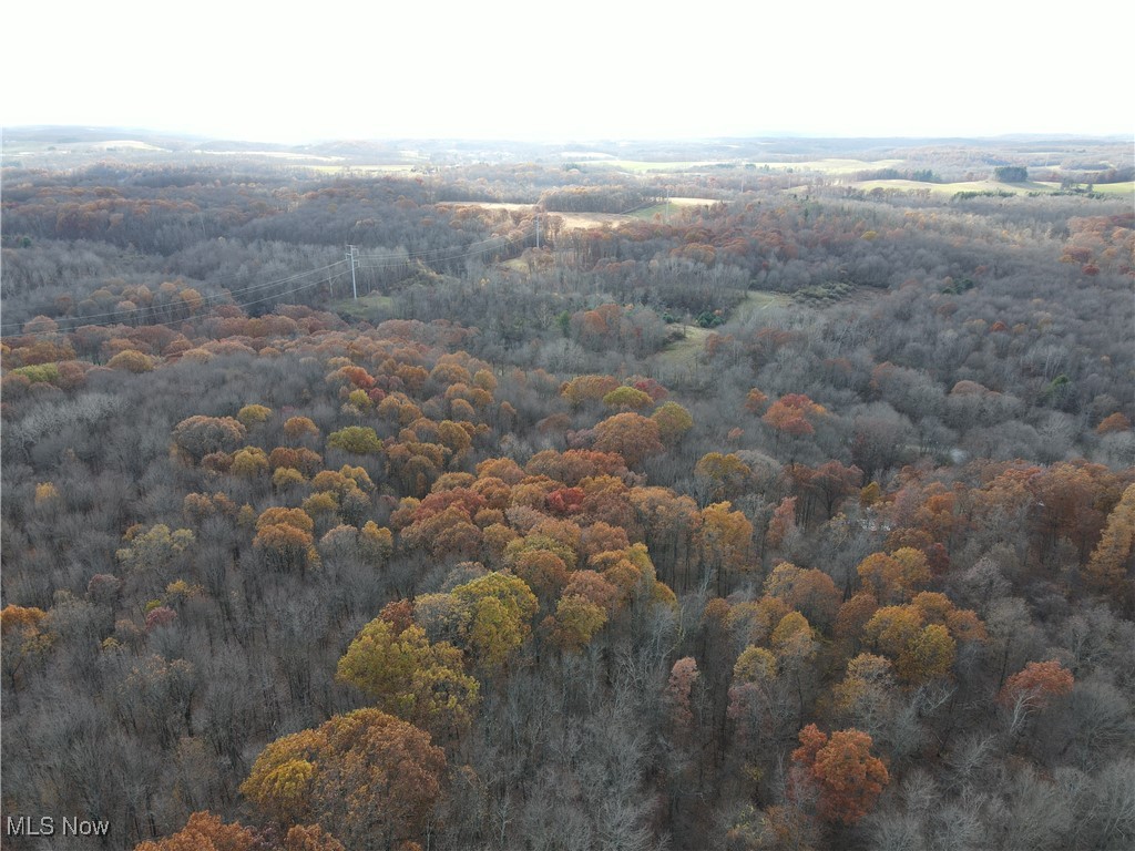 Hibbetts Mill Road, Wellsville, Ohio image 7