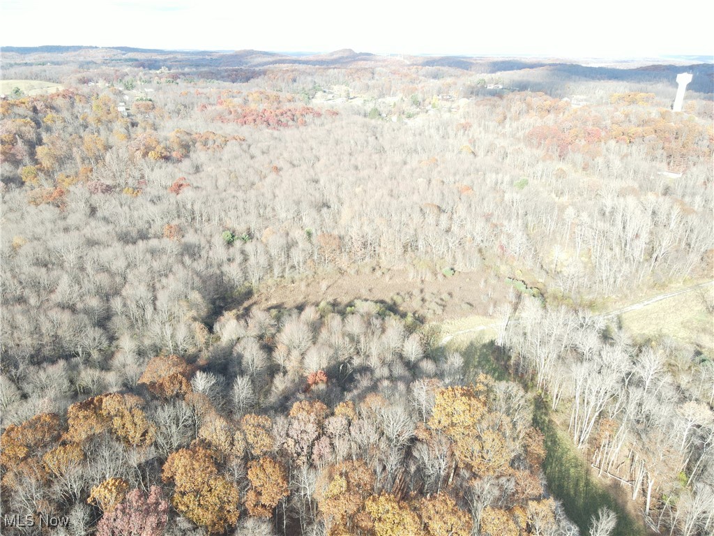 Hibbetts Mill Road, Wellsville, Ohio image 9