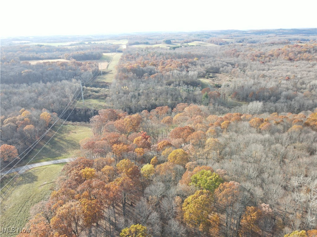 Hibbetts Mill Road, Wellsville, Ohio image 10