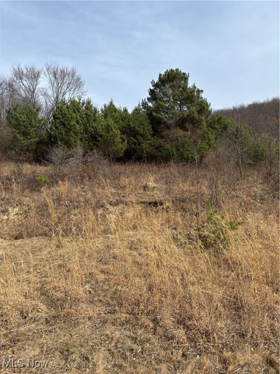 2492 Irish Ridge Road, East Liverpool, Ohio image 6