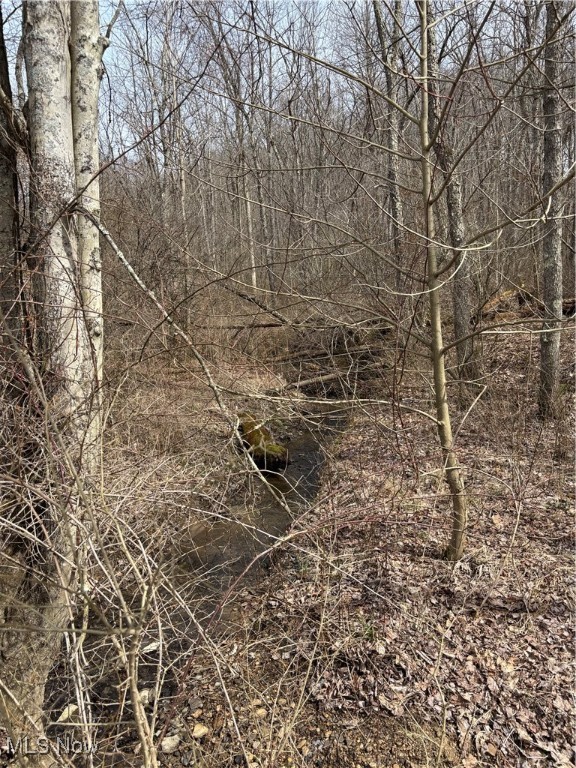 2492 Irish Ridge Road, East Liverpool, Ohio image 7