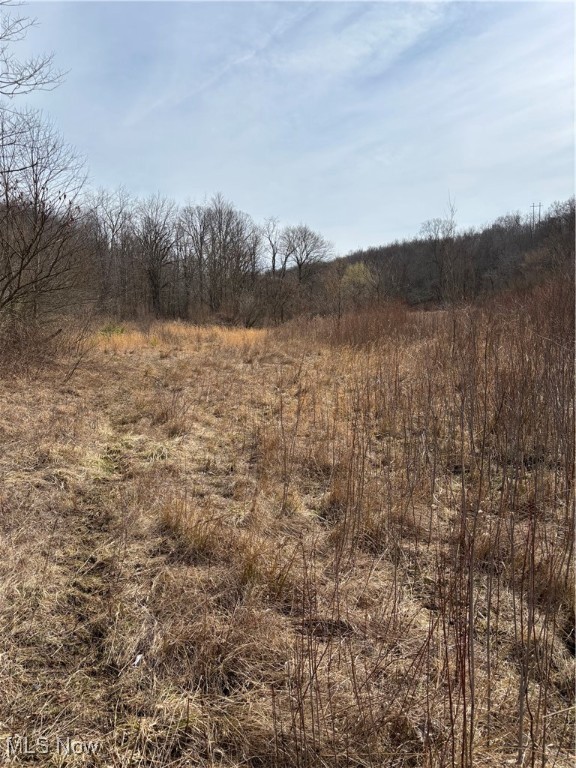 2492 Irish Ridge Road, East Liverpool, Ohio image 3